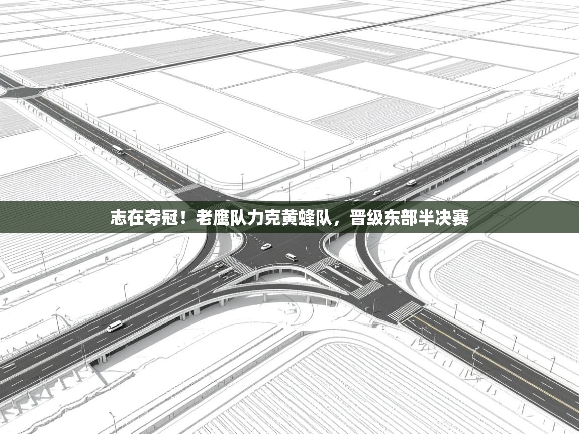 云开体育入口-志在夺冠!老鹰队力克黄蜂队,晋级东部半决赛  第2张