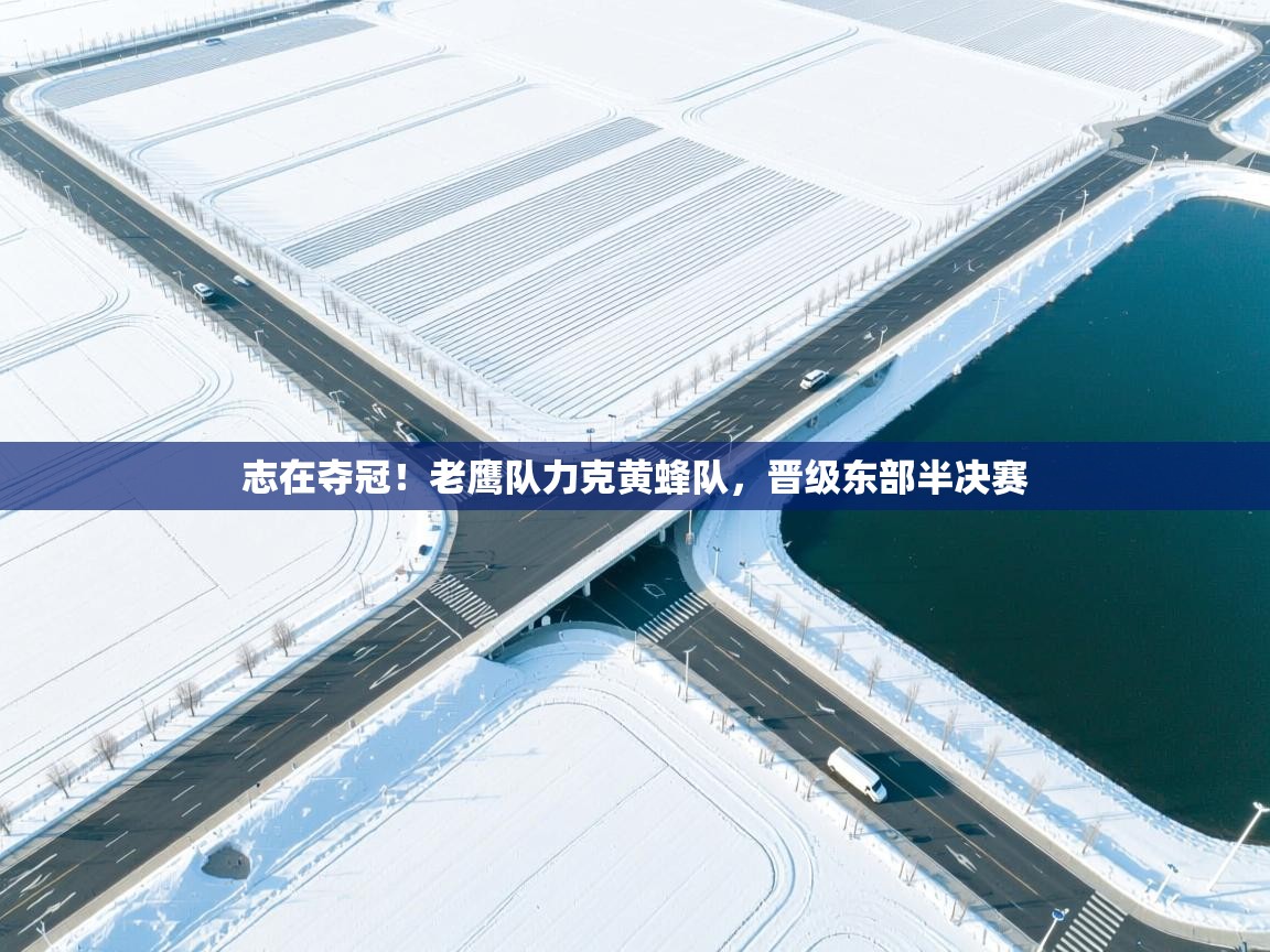 云开体育入口-志在夺冠!老鹰队力克黄蜂队,晋级东部半决赛  第3张