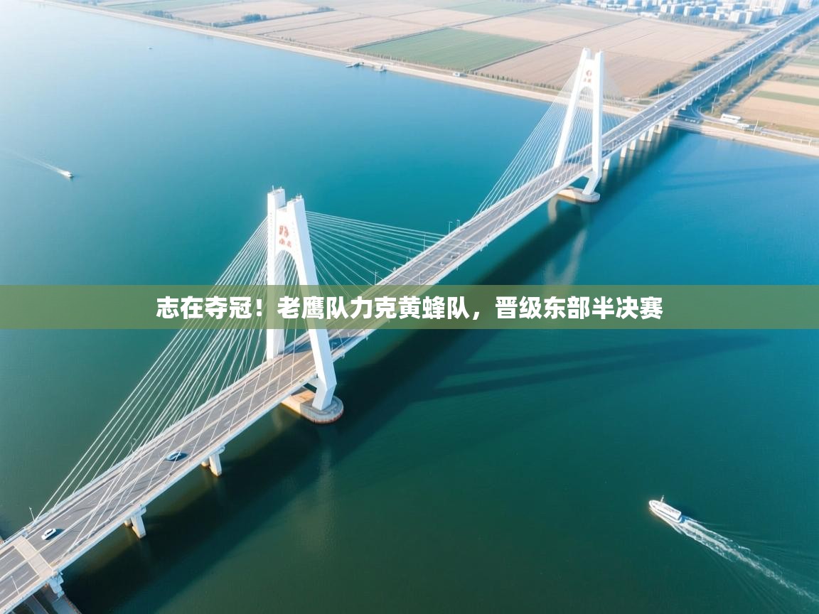 云开体育入口-志在夺冠!老鹰队力克黄蜂队,晋级东部半决赛  第4张