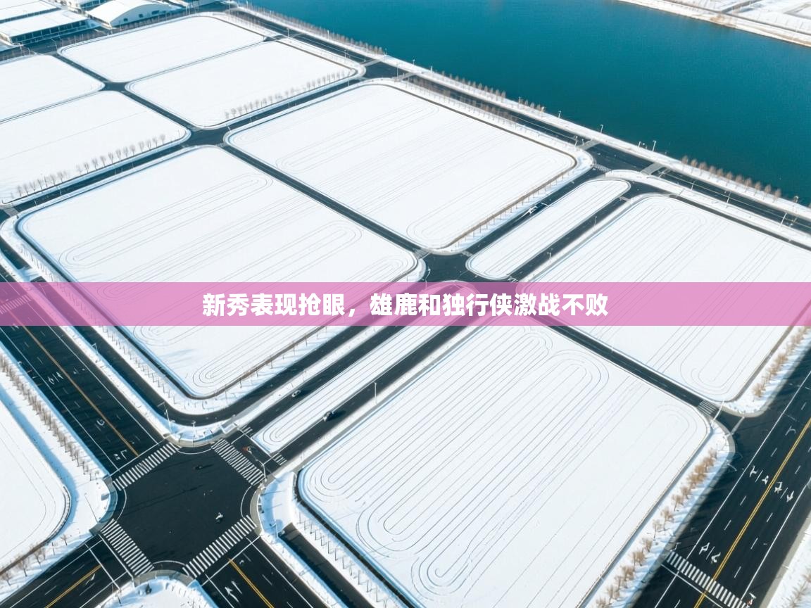 开云体育网络异常修复-新秀表现抢眼，雄鹿和独行侠激战不败  第1张