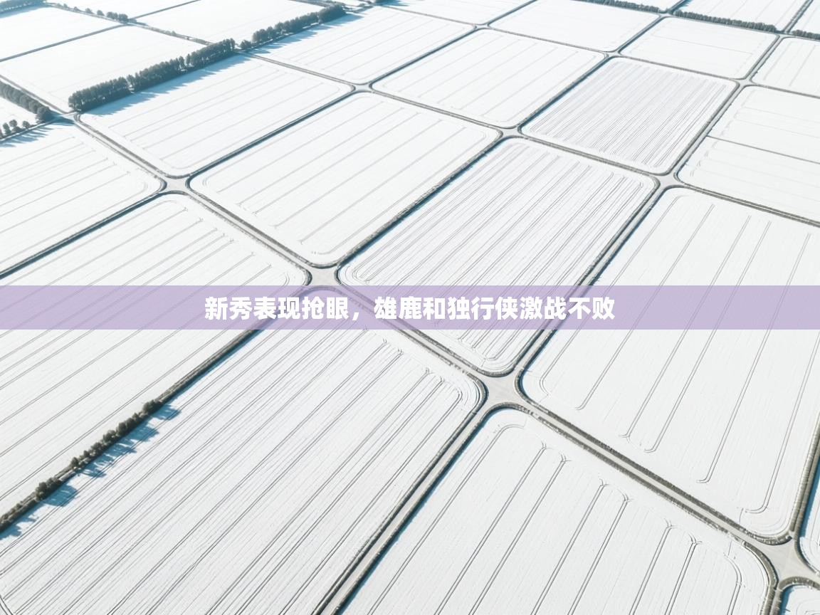 开云体育网络异常修复-新秀表现抢眼，雄鹿和独行侠激战不败  第4张