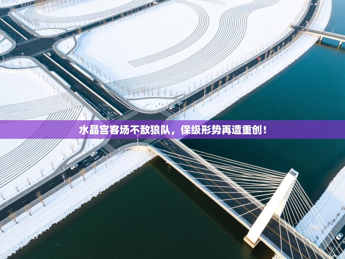 开云体育账号申诉通道-水晶宫客场不敌狼队,保级形势再遭重创! 第3张