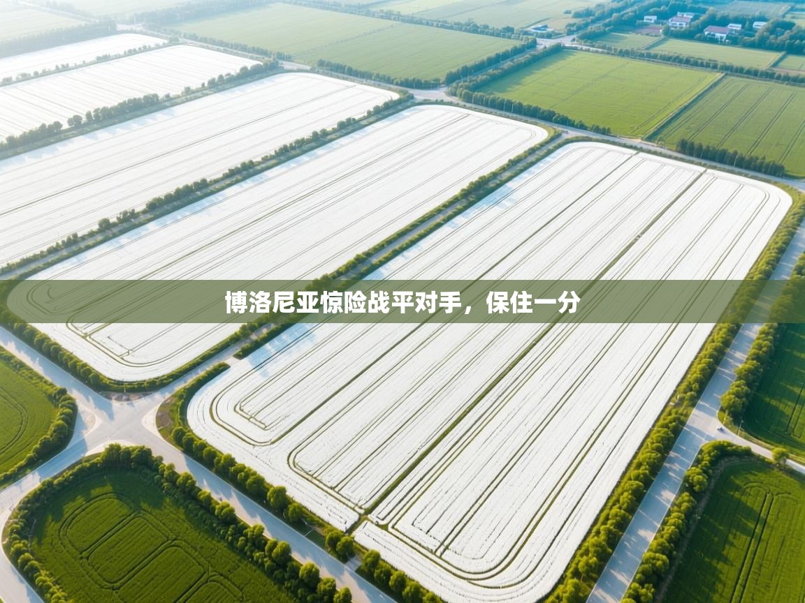 开云体育在线登录-博洛尼亚惊险战平对手,保住一分 第4张