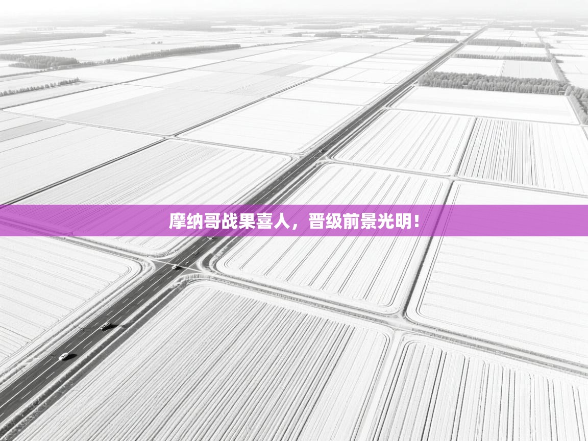 开云体育注册下载-摩纳哥战果喜人，晋级前景光明！  第2张