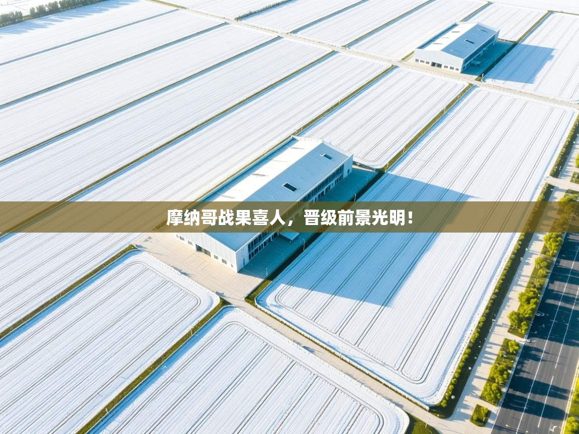 开云体育注册下载-摩纳哥战果喜人，晋级前景光明！  第3张