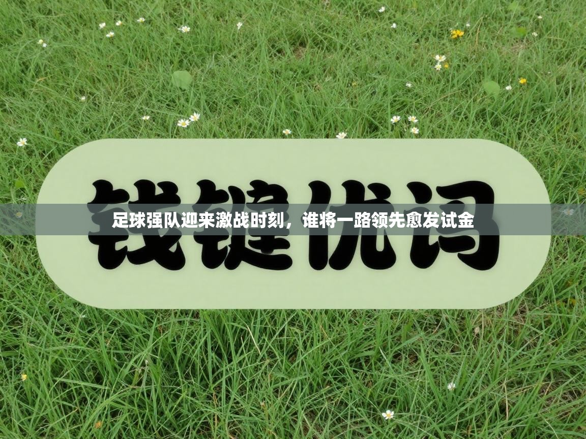 kaiyun-足球强队迎来激战时刻,谁将一路领先愈发试金 第2张