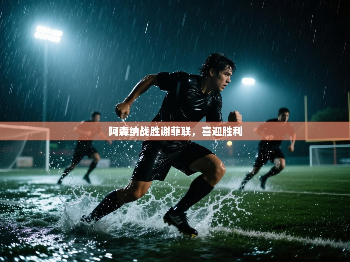 开云体育推送通知设置-阿森纳战胜谢菲联，喜迎胜利  第1张