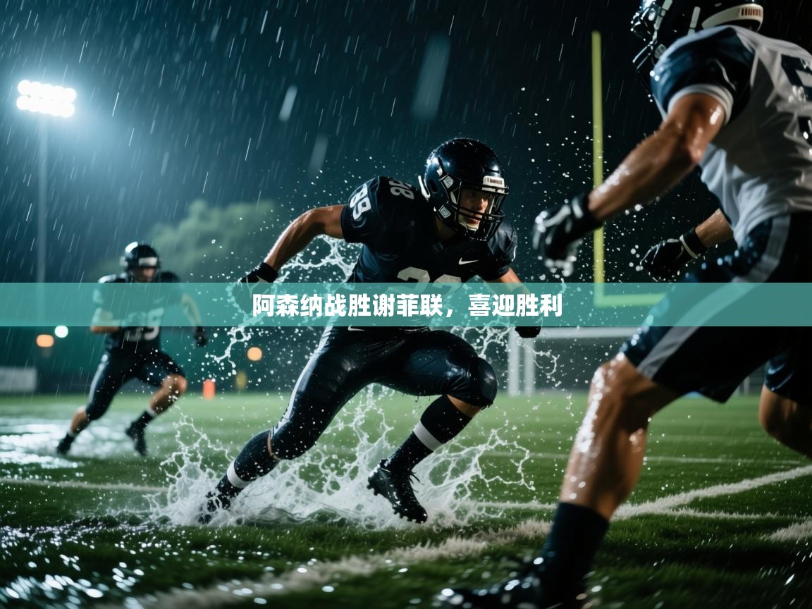 开云体育推送通知设置-阿森纳战胜谢菲联，喜迎胜利  第3张