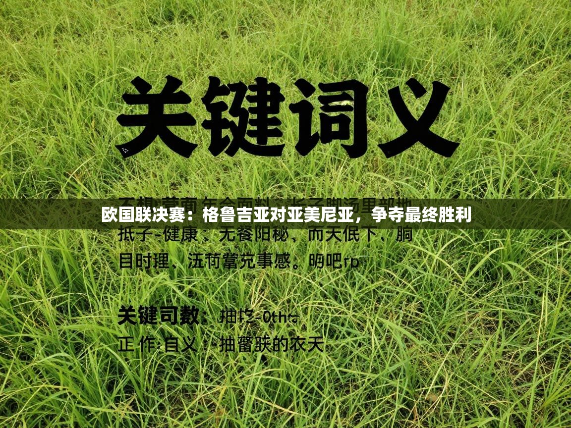 开云数据-欧国联决赛：格鲁吉亚对亚美尼亚，争夺最终胜利  第1张