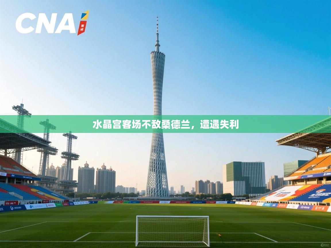 开云体育官方版下载-水晶宫客场不敌桑德兰,遭遇失利 第4张